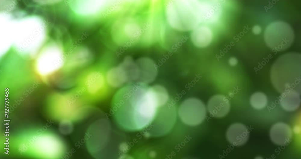 Poster Bokeh, blurry and green with particles in pastel colorful background with light. Imagination, glitter and shine with textured pattern as wallpaper or abstract with bubbles or circles and flare