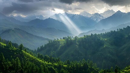 The range is covered with green forests