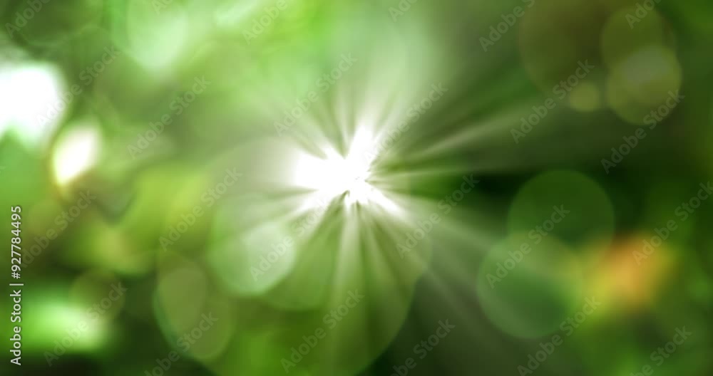 Poster bokeh, flares and green with particles in pastel colorful background with light. imagination, glitte