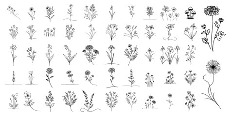 flowers, twigs, ornamental leaves, plants herbs in hand drawn doodle style, collection of black simple vectors