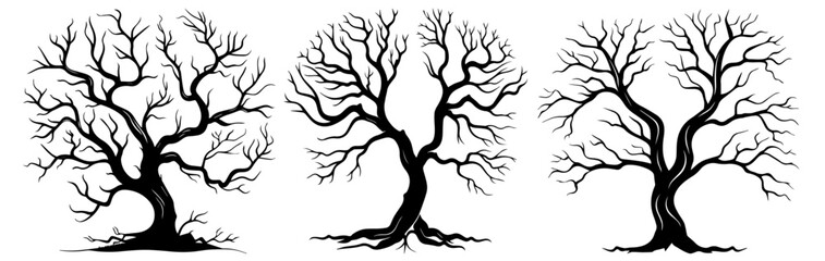 three tree silhouettes emphasizing natural structure and form