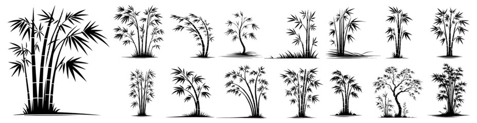 collection of decorative bamboos, plant ornament, black vector