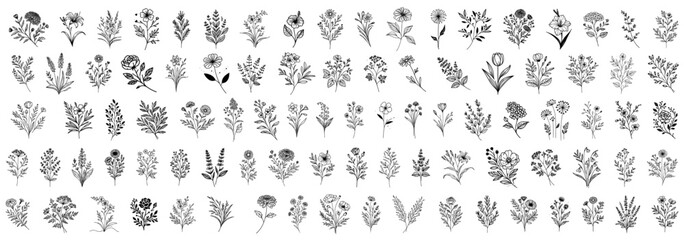 flower in doodle style, hHand drawn vector art colellction set