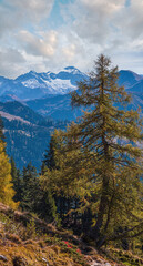 Peaceful autumn Alps mountain sunny view from hiking path from Dorfgastein to Paarseen lakes, Land Salzburg, Austria.