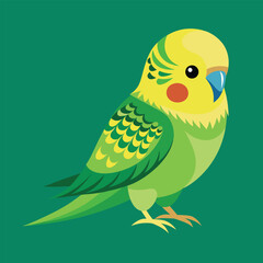 Bird vector