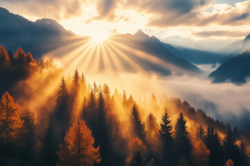 Fototapeta premium sunrise in the autumn forest, care for nature, ecologically clean air