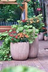 fall veranda decor with chrysanthemums