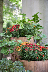 fall veranda decor with chrysanthemums