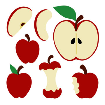 Red Autumn Apples with Apple Slices, Core, and Bitten Apple