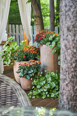 veranda with garden swing is decorated with fall decor and chrysanthemums