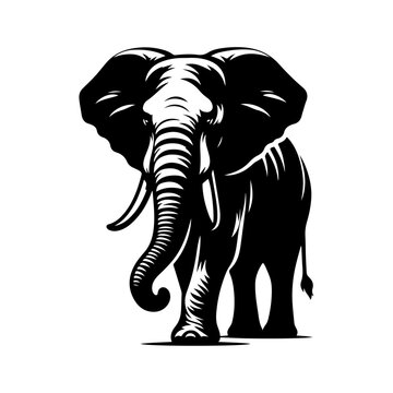 recommend clip art: Elephant silhouette, vector black color silhouette solid white background