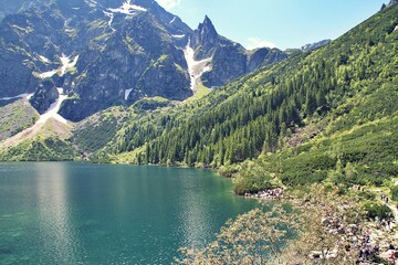 view of the lake in the mountains, Morskie Oko in the Tatra Park, greenery, a tree against the background of the lake, a lake between the mountains © AMTM