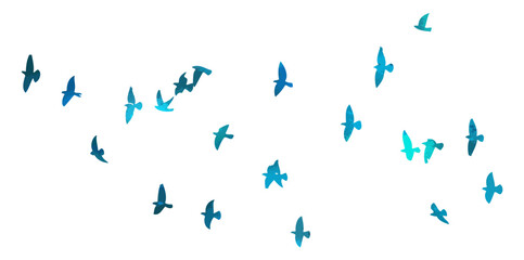 Fototapeta premium A flock of blue birds. hand drawing. Not AI. Vector illustration