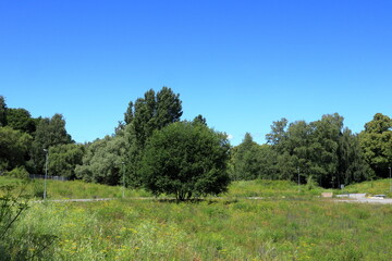 Landscape summer day. Solna, Stockholm, Sweden.