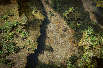 Crystal clear fresh water from Gacka river source in the village of Sinac at Majerovo Vrilo, beautiful set of preserved wooden houses and mills in continental Croatia