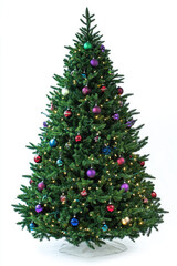 A full-sized Christmas tree decorated for the holidays, isolated on a white background.
