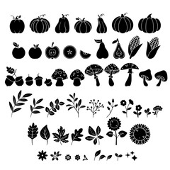 Autumn Harvest Flat Black 