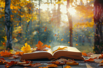 education concept - close up of open book in autumn park background
