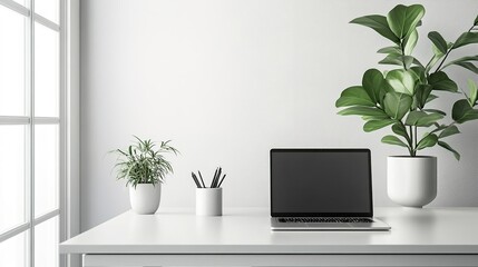 Fototapeta premium A minimalist office setup with a sleek desk, laptop, and potted plant, emphasizing a clean and clutter-free workspace