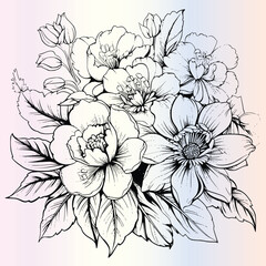 Flower Coloring Pages Drawing For Kids