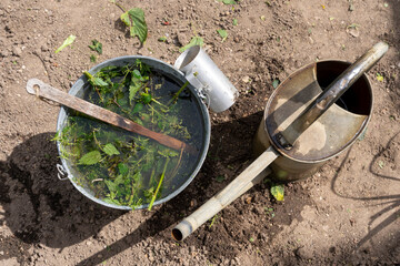 Watering can with fresh water and a bucket of nettle liquid manure, ready for natural fertilization of vegetable plants.