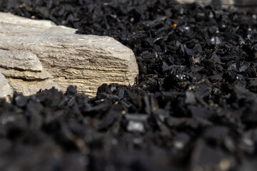 Close-up of a pale sedimentary rock juxtaposed against dark, crystalline coal fragments. Taken in Toronto, Canada.