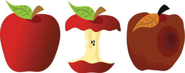 set of red apple full rotten and bitten vector isolated
