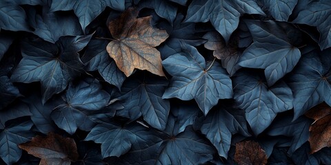 High-Resolution Wallpaper of Black Leaves with Subtle Brown Tones for a Natural, Elegant Look