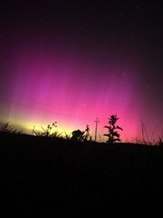 Nocne niebo z intensywną zorzę polarną w odcieniach fioletu, różu i żółto-zielonym nad horyzontem. Na tle zorzy widać ciemne sylwetki roślinności i słupów energetycznych, a na niebie migoczą gwiazdy © Marcin