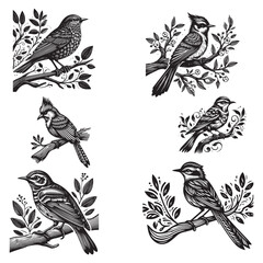 Bird Silhouette Vector Art Illustration Set