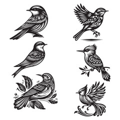 Bird Silhouette Vector Art Illustration Set