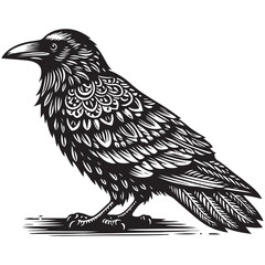 Bird Silhouette Vector Art Illustration