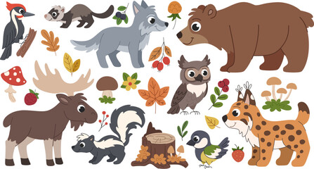 Cute childrens forest animals set. Forest animals, birds and elements set. Bear, moose, lynx, wolf, other animals and birds. Mushrooms, berries and leaves. Autumn forest collection. White background.