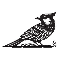 Bird Silhouette Vector Art Illustration