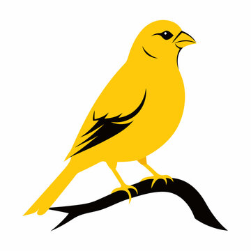 yellow bird perched on branch clip art preview