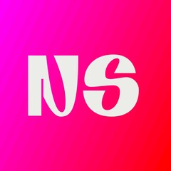 N S logo design. SN design love. SN company. Niloy Marjan 