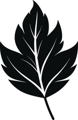 Leaf silhouette art illustration on white background