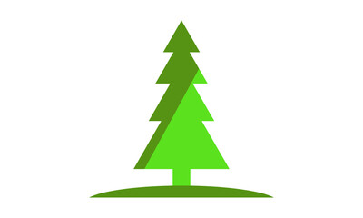 pine tree, fir tree vector isolated on white background