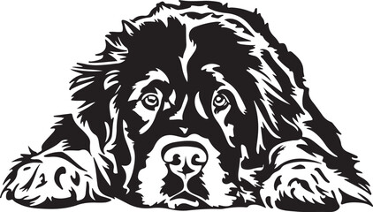 Newfoundland Dog Lying Down Stylized Vector