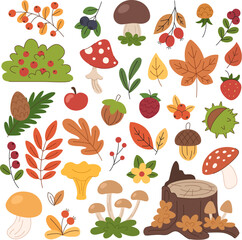 Forest autumn elements set. Mushrooms, leaves, berries and fruits, stump with mushrooms, forest harvest.