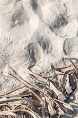 Fine beach sand texture background
