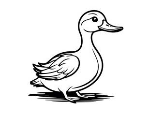 Drawing of a cute duck to color.