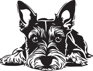 Scottish Terrier Lying Down Stylized Vector Illustration