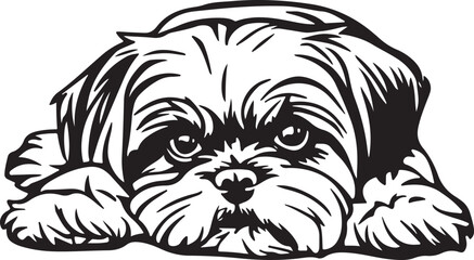 Shih Tzu Lying Down Stylized Vector Illustration