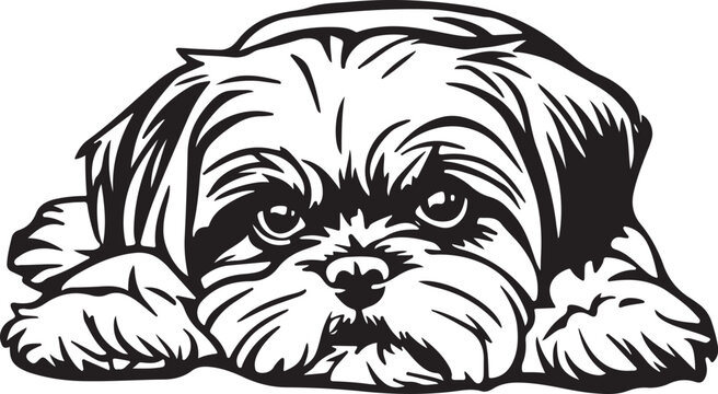 Shih Tzu Lying Down Stylized Vector Illustration