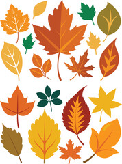 silhouette leaves set autumn on white background isolated, vector 