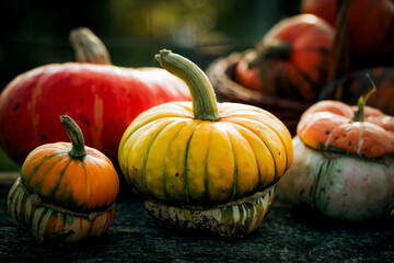autumn decorative pumpkins. Thanksgiving or Halloween holiday  harvest concept.