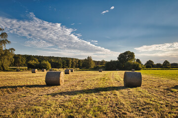 Heuballen - bales of hay - field - harvest - summer - straw - farmland - blue cloudy sky - golden -...