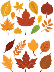 silhouette leaves set autumn on white background isolated, vector 