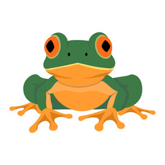 Red-eyed green frog, Agalychnis callidryas - PNG